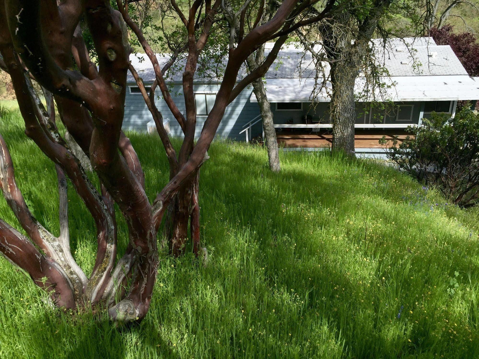 Sequoia Resort Badger Buitenkant foto